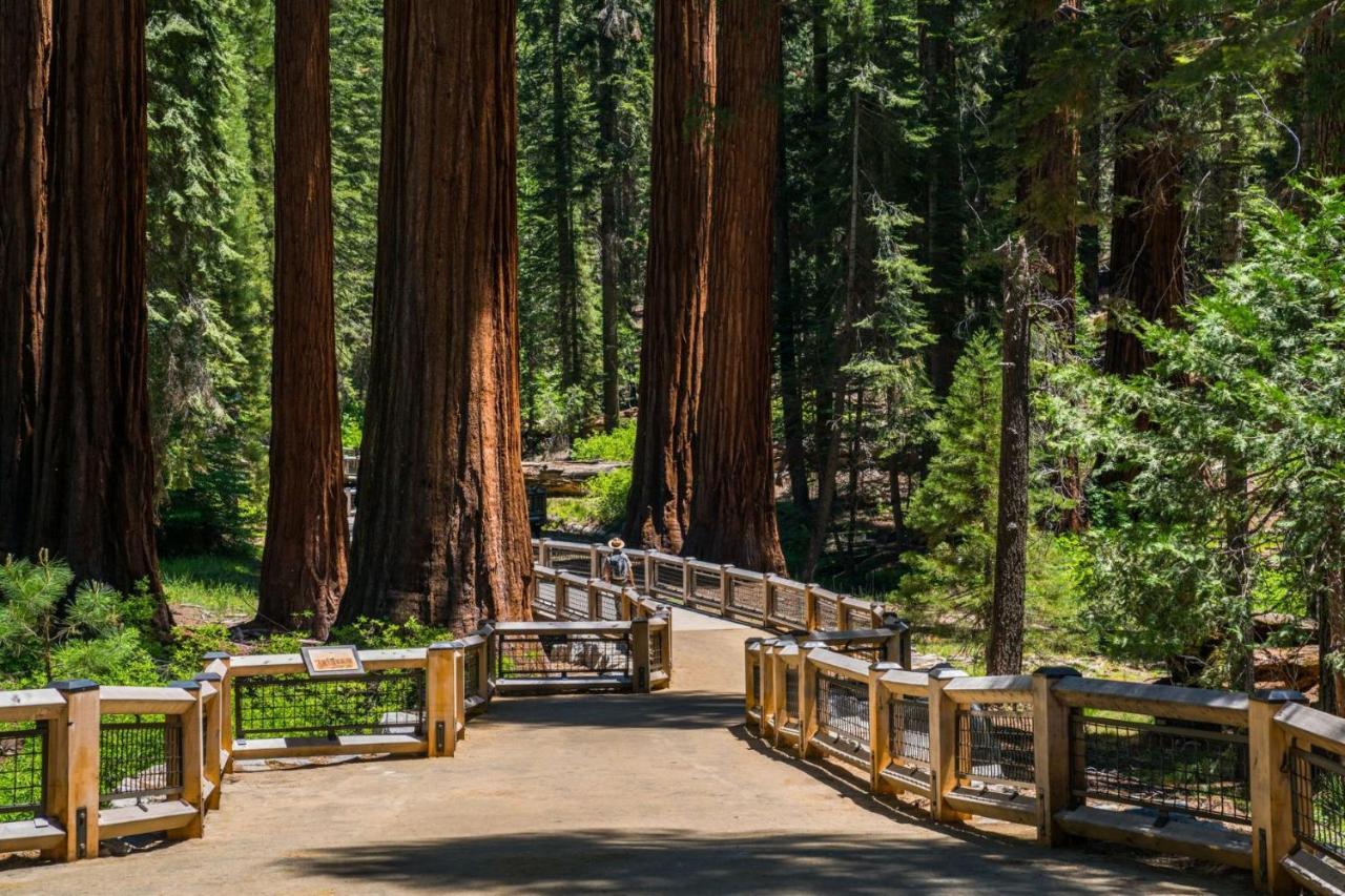 Fairfield Inn & Suites By Marriott Oakhurst Yosemite Buitenkant foto