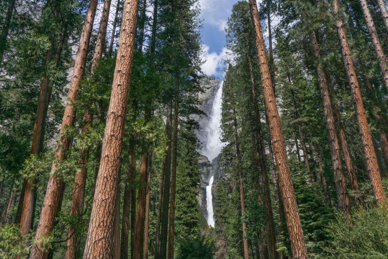 Fairfield Inn & Suites By Marriott Oakhurst Yosemite Buitenkant foto